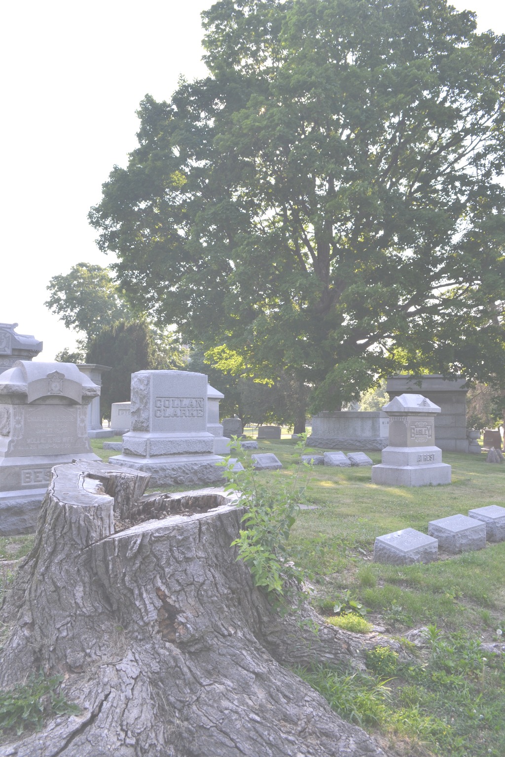 Life
            out of death